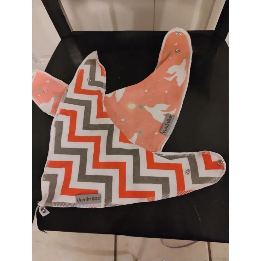Vumin box set of two girls bibs‎